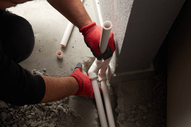 Best Clogged Drain Plumber  in Ogden, IA