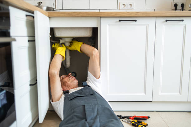 Best Septic Systems  in Ogden, IA