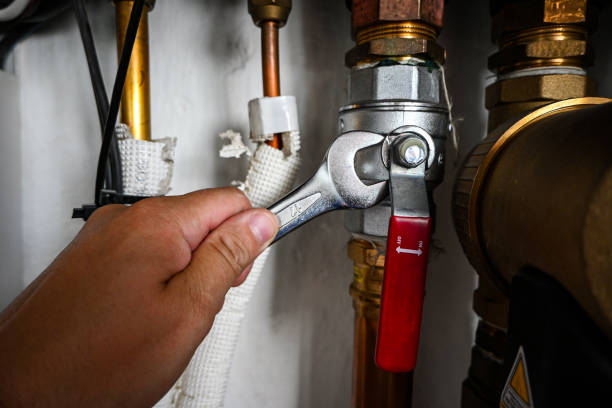 Best Plumbing Repair Near Me  in Ogden, IA